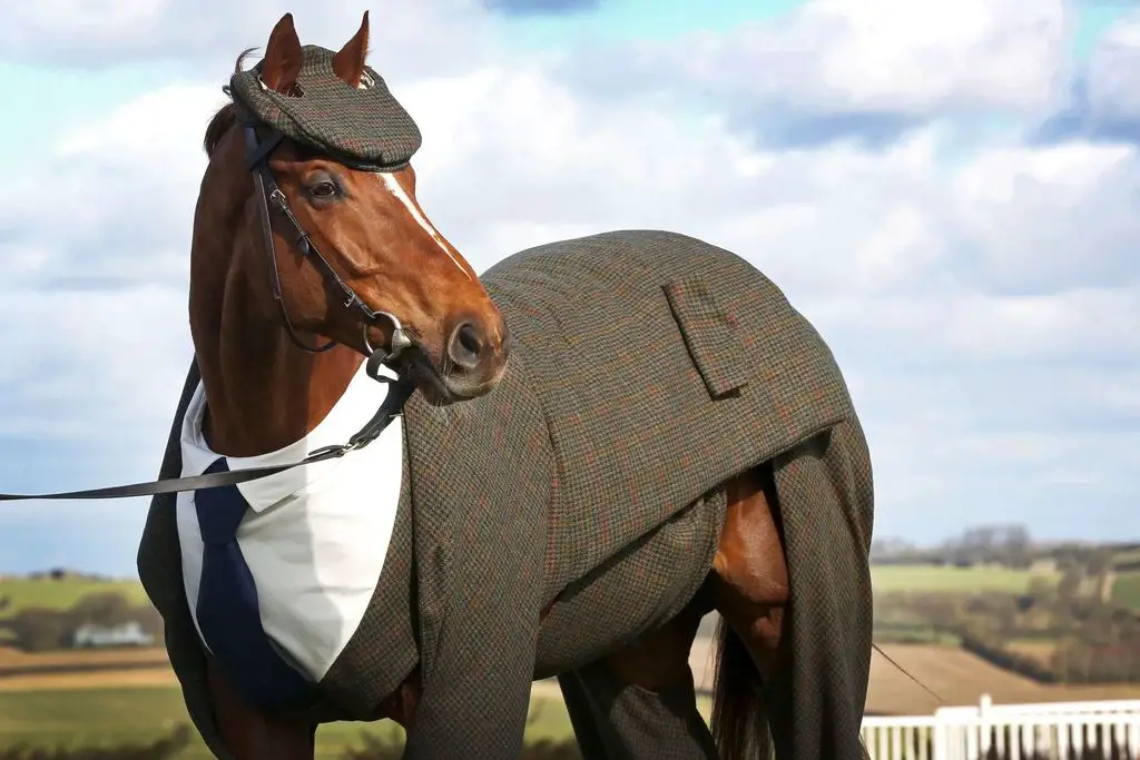 20 Mind-Blowing Horse Facts That You Probably Didn't Know