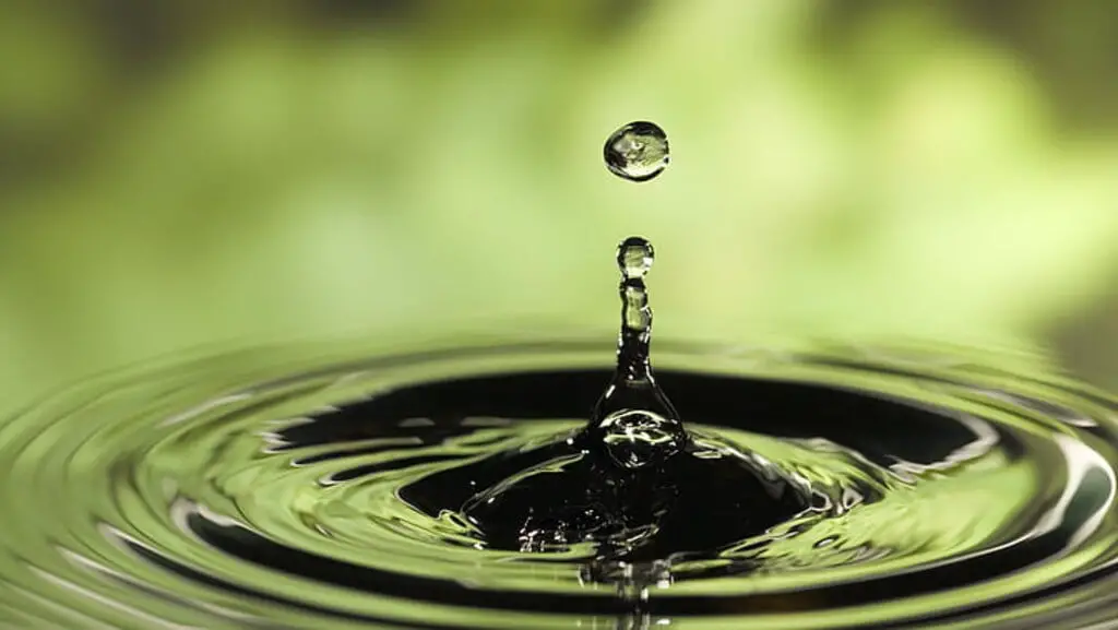 25 Interesting Facts About Water