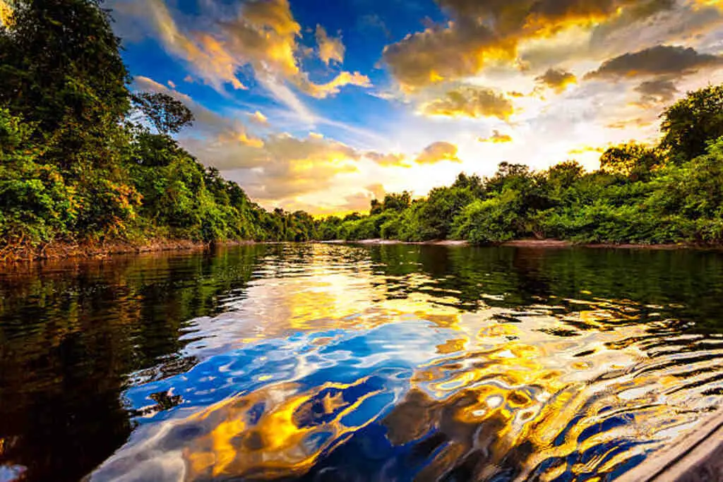 20 Mind-Blowing Amazon Rainforest Facts That Will Amaze You