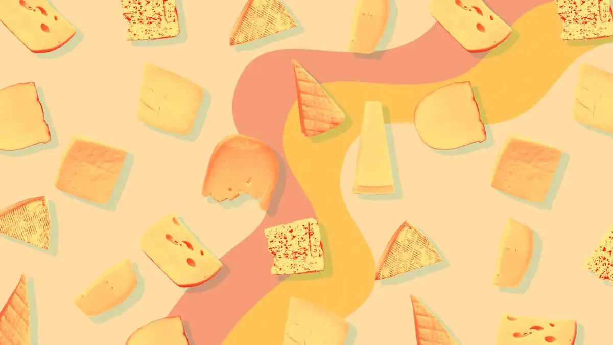 25 Mouth Watering Facts About Cheese That You Need To Know