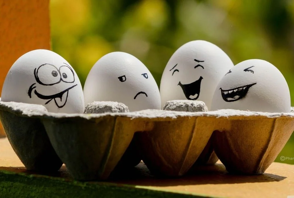 20 Excellent Facts About Eggs That Will Crack You Up